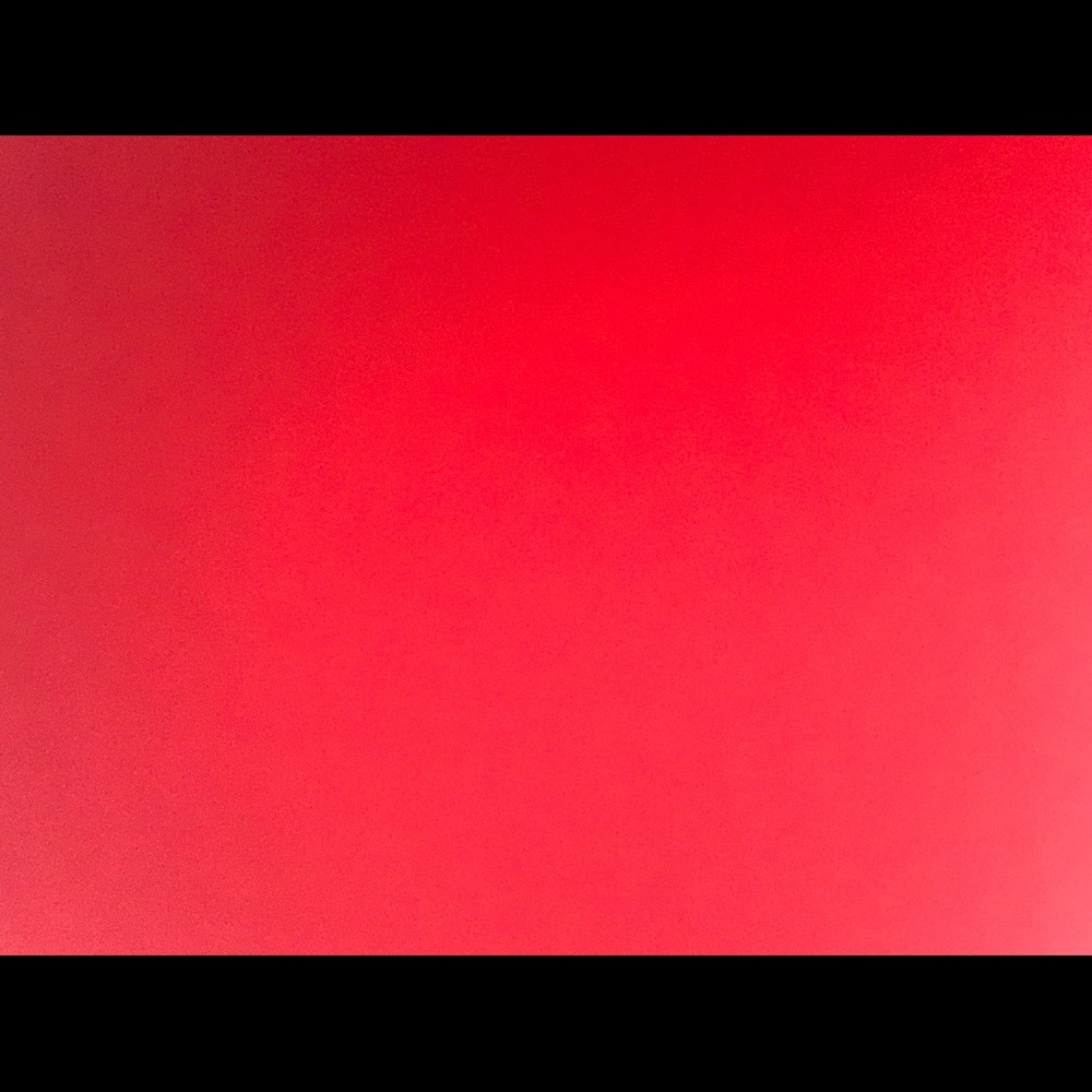 Meet your Posher, Shyla